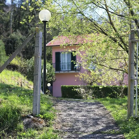 Pavì Delle 5 Terre Vernazza